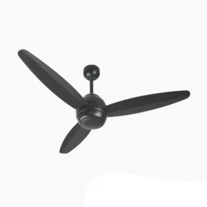 Ovate – Black