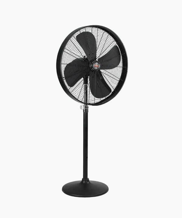 Pedestal Designer With Round Base (AC) 18"
