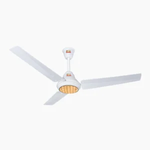Ravi Plus (AC) – Light Wood