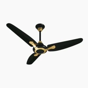 Superior – (AC/DC) Black & Golden