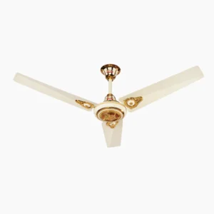 VIP (AC) OffWhite & Golden