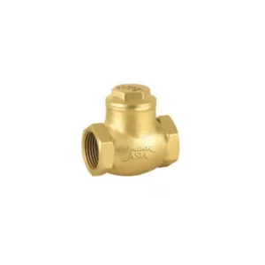 1/2 Non Return Valve