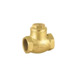 3/4 Non Return Valve