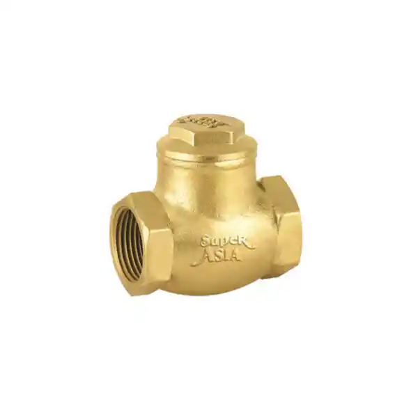 1 Inch Non Return Valve